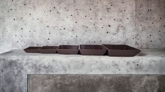 Bonsai Shoes Modern Rectangle Plastic Training Pot