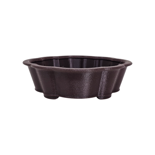 Bonsai Shoes Show Mokko Training Grow Plastic Pot