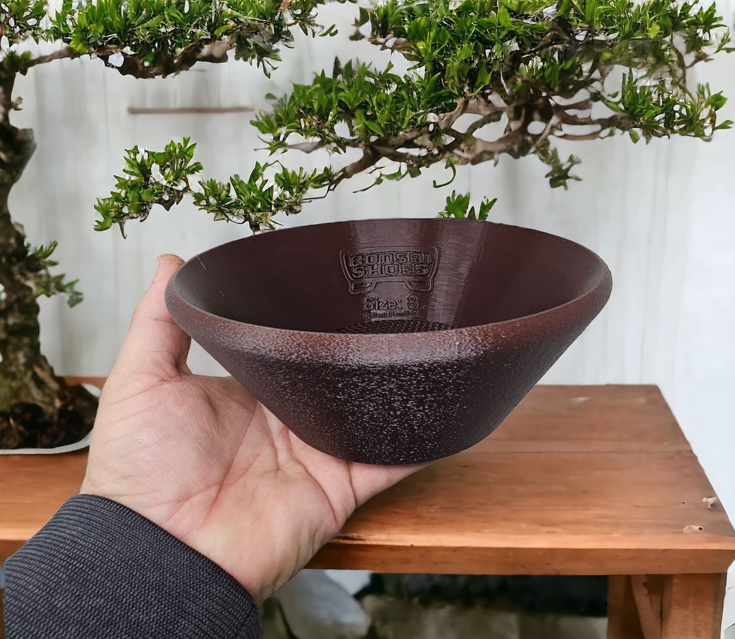 Bonsai Shoes Modern Round Plastic Training Pot