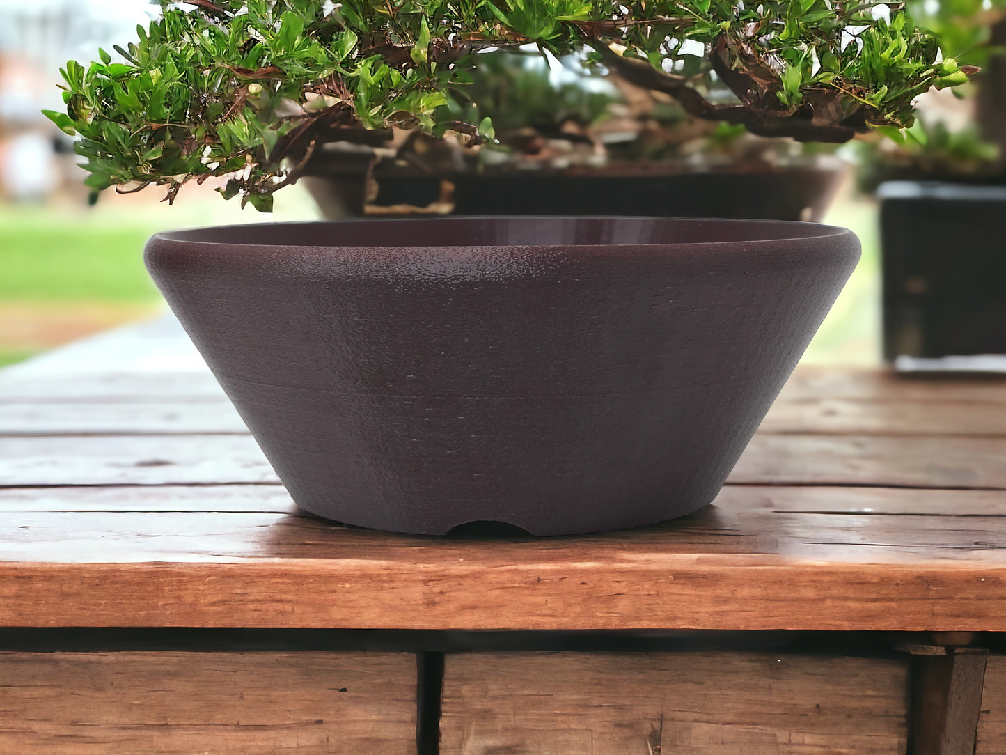 Bonsai Shoes Modern Round Plastic Training Pot