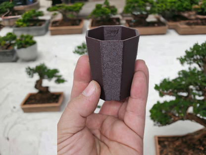 Bonsai Shoes Modern Cascade Octagon Plastic Training Pot