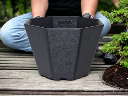 Bonsai Shoes Modern Semi Cascade Octagon Plastic Training Pot