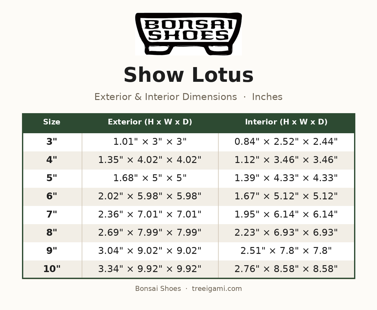 Bonsai Shoes Show Lotus dimension chart