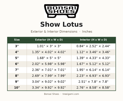 Bonsai Shoes Show Lotus dimension chart