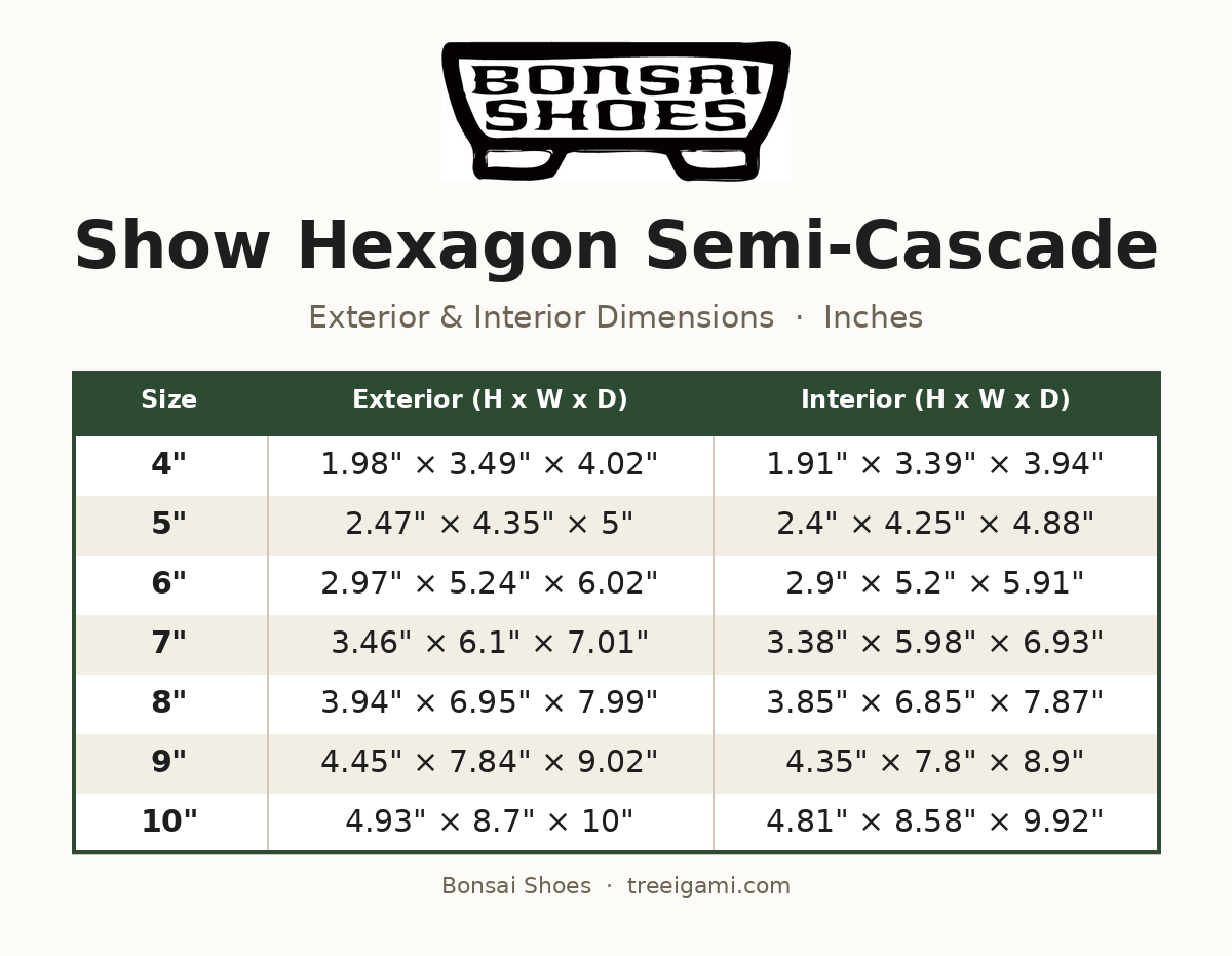Bonsai Shoes Show Hexagon Semi-Cascade dimension chart