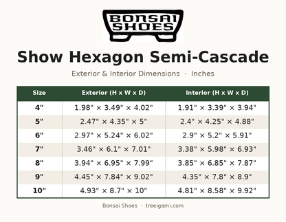 Bonsai Shoes Show Hexagon Semi-Cascade dimension chart