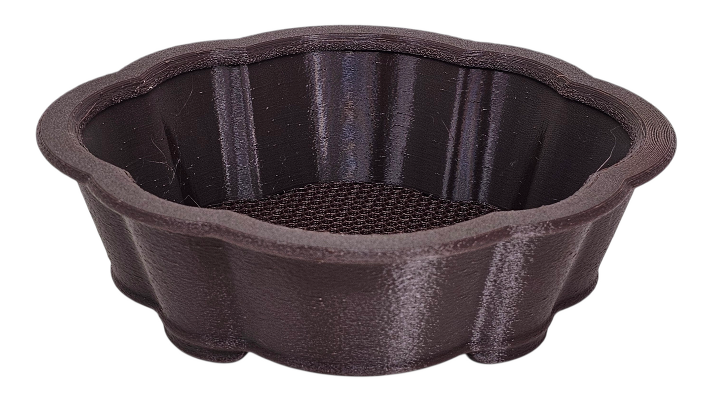 Bonsai Shoes Show Mokko Training Grow Plastic Pot