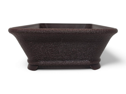 Bonsai Shoes Fancy Rectangle Plastic Training Pot