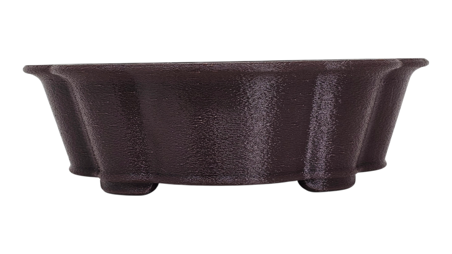 Bonsai Shoes Show Mokko Training Grow Plastic Pot