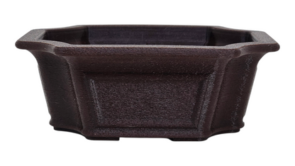 Bonsai Shoes Show Cut Corner Deep Windowed Rectangle Growing Plastic Pot