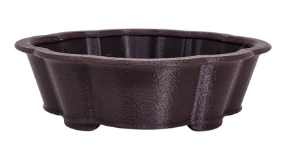 Bonsai Shoes Show Mokko Training Grow Plastic Pot
